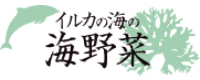 イルカの海の海野菜
